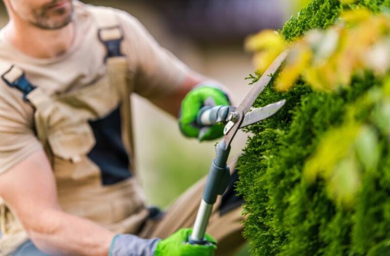 Garden services